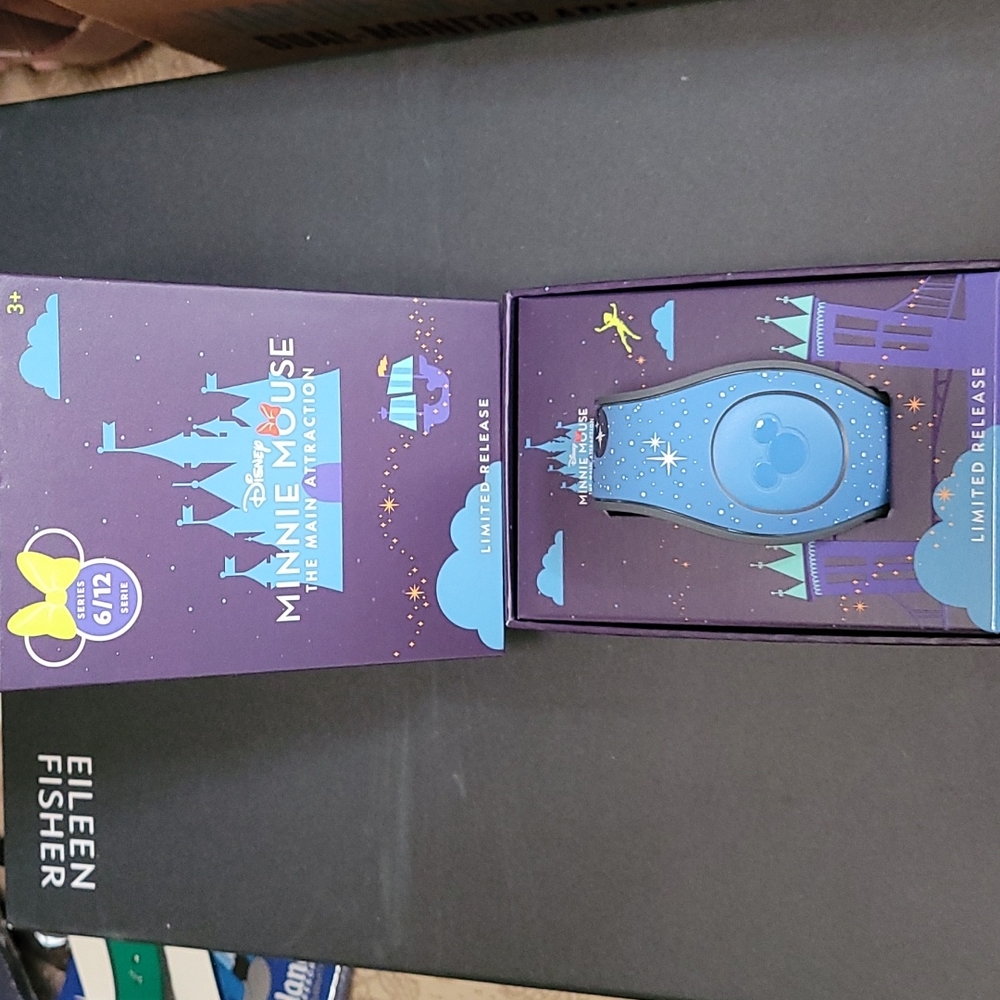 Disney magicband 2